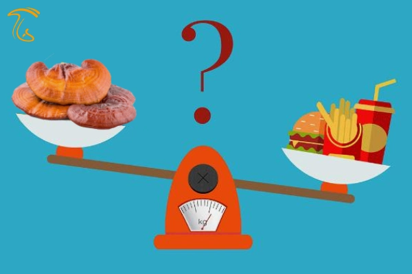 قارچ گانودرما برای لاغری ( تاثیرات شگفت انگیز )
