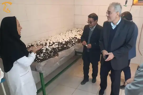 بازدید ریاست دانشگاه آزاد استان یزد از طرح درآمدزایی پرورش قارچ در واحد اشکذر