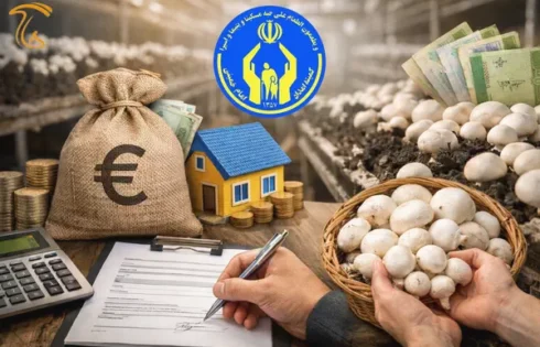 چگونگی دریافت وام اشتغال زایی کمیته امداد برای پرورش قارچ