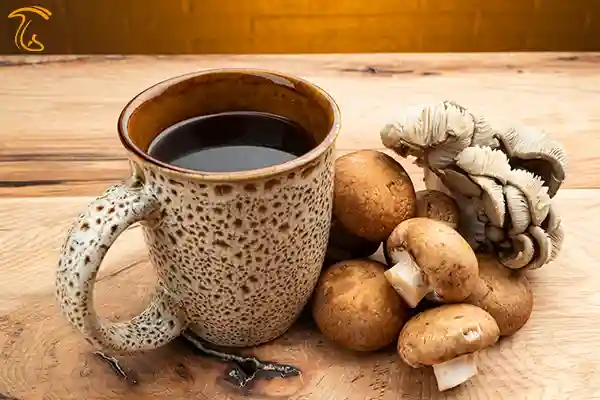 ساخت عصاره برای نگهداری قارچ