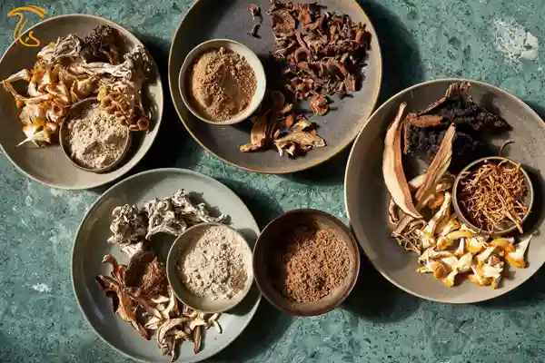 نگهداری قارچ به وسیله پودر کردن قارچ نگهداری قارچ برای مدت طولانی