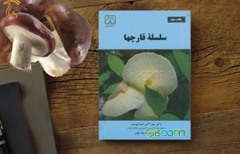 کتاب سلسله قارچ ها