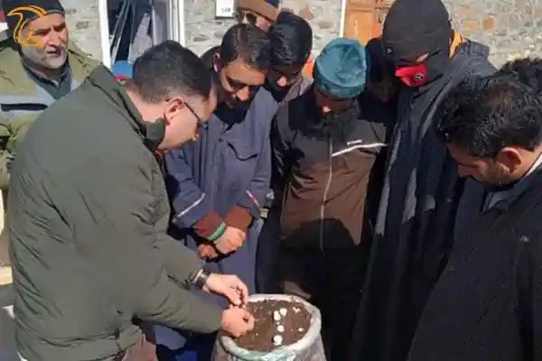 پرورش قارچ در هند