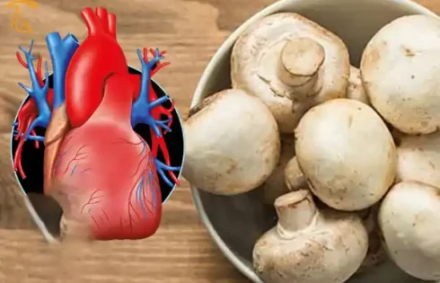 خواص و فواید قارچ برای قلب