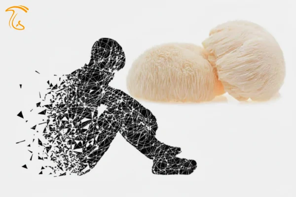 استفاده از قارچ یال شیر برای مقابله با افسردگی