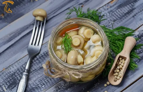 شور قارچ محبوترین مخلفات غذا