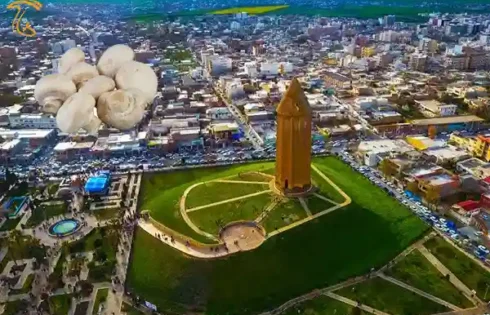 پرورش قارچ در گنبدکاووس