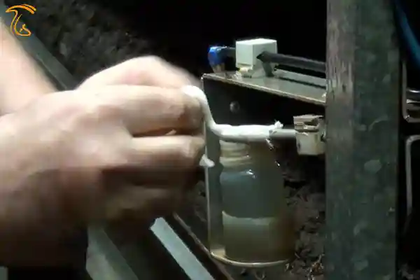 کشت قارچ در هلند