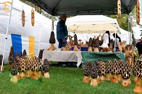 جشنواره ملی بهارانه قارچ مورل