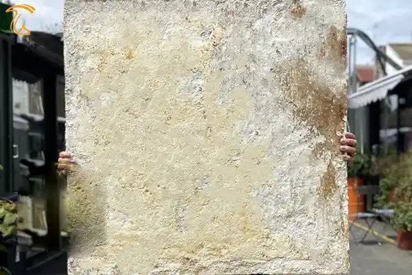 عایق میسلیومی