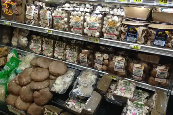 درآمدزایی از پرورش قارچ با 11 روش مختلف