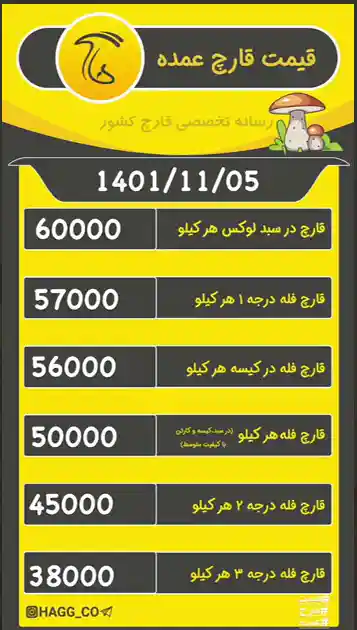 قیمت قارچ