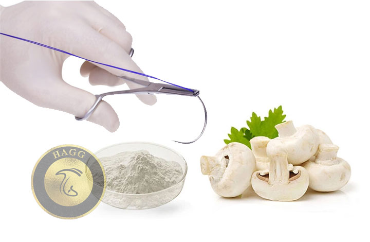 تولید نخ بخیه از قارچ خوراکی