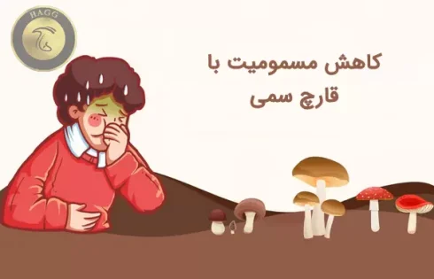 کاهش مسمومیت با قارچ های سمی