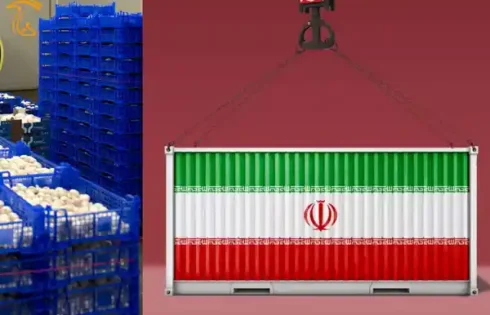 افزایش 70 درصدی صادرات قارچ