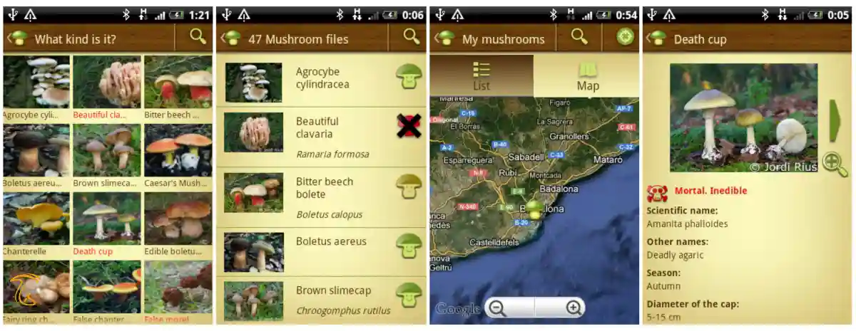 اپلیکیشن Mushroom – Mushtool