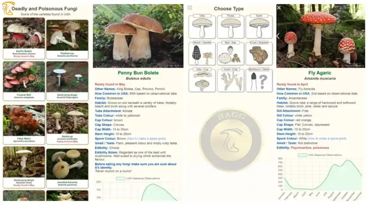 برنامه Shroomify