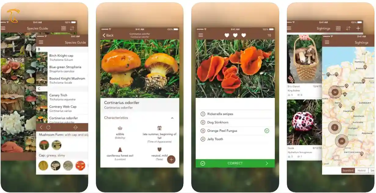 برنامه Mushroom LITE – Field Guide