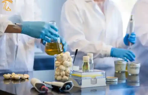 تولید مواد نگهدارنده طبیعی و نرم کننده از قارچ