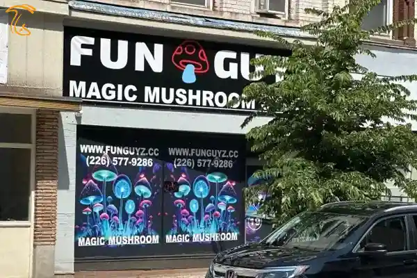 فروشگاه قارچ جادویی funguyz واقع در سن توماس