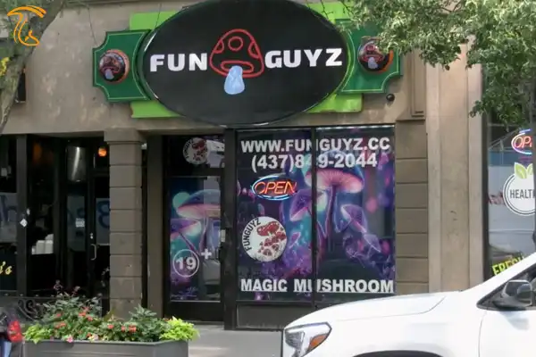 فروشگاه مجیک ماشروم funguyz در شهر ویندزور کانادا
