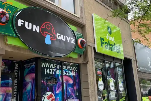 فروشگاه قارچ جادویی funguyz قبل از حمله پلیس