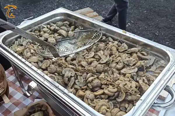 قارچ خوشمزه