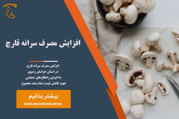 افزایش مصرف سرانه قارچ در خراسان رضوی