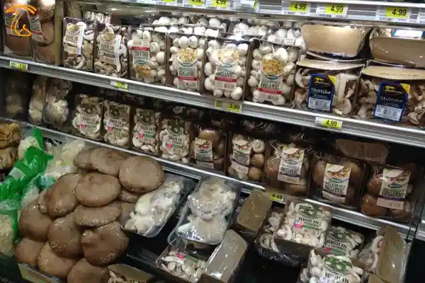 بازار قارچ