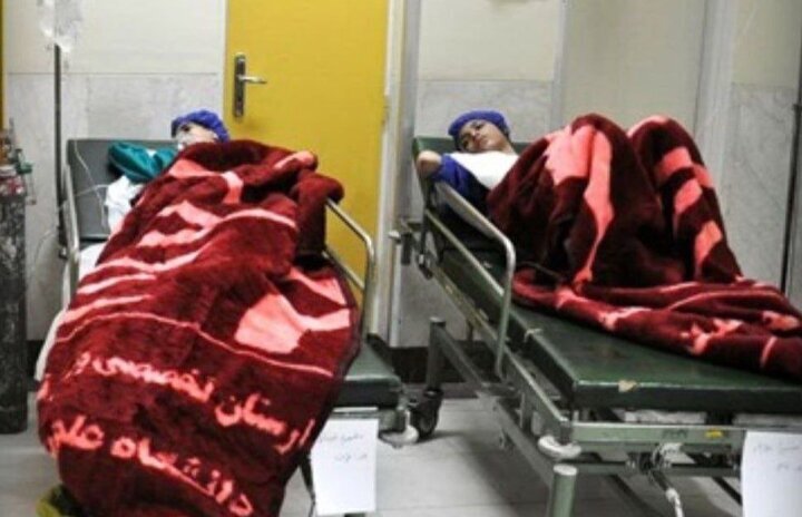 تعداد مسمومان قارچ سمی در مشگین شهر