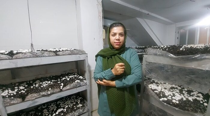درآمدزایی از پرورش قارچ خانگی