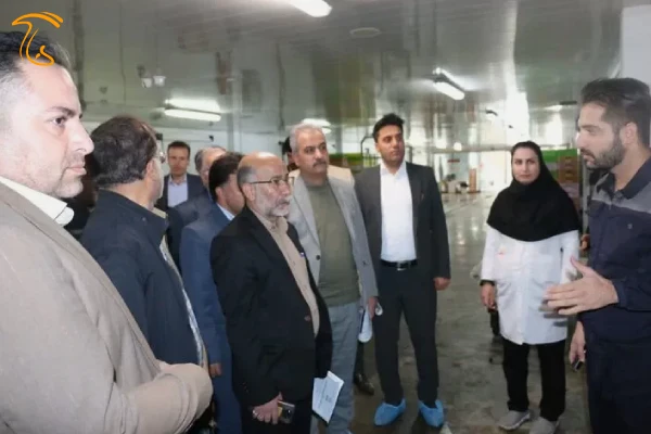 بازدید مدیر صنایع تدیلی منطقه 4 کشوری از شرکت کشت و صنعت اورامان سبز