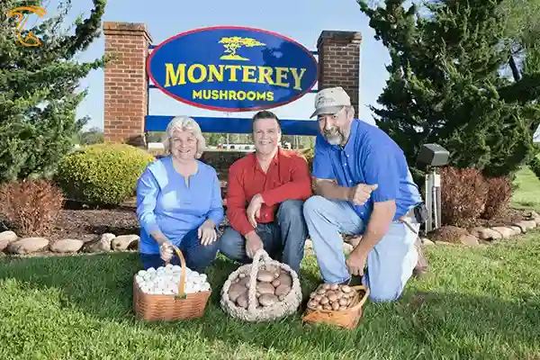 قارچ Monterey Mushrooms
