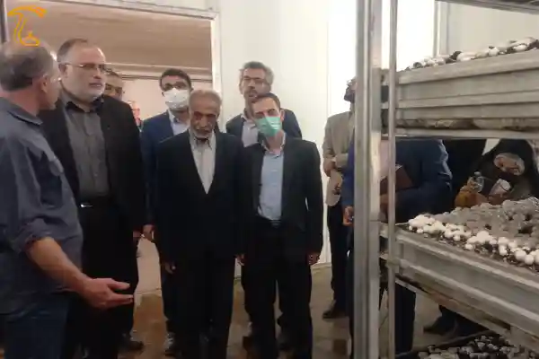 بازدید از کشت و صنعت قارچ آبیک