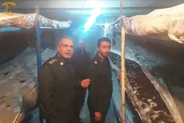 بازدید بسیج ناحیه از پروژه تولید قارچ روستای میغان شاهرود