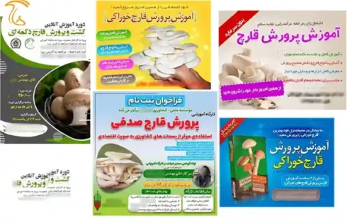 گواهی های بی اعتبار صادر شده توسط برخی موسسات آموزشی بی کیفیت