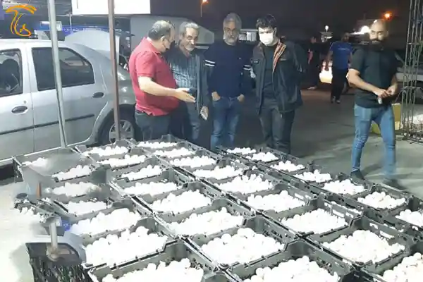 جای خالی یک بارانداز برای عرضه قارچ خوراکی