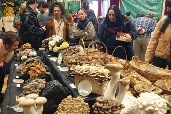 معرفی انواع قارچ های خوراکی و دارویی در نمایشگاه قارچ سانتاکروز