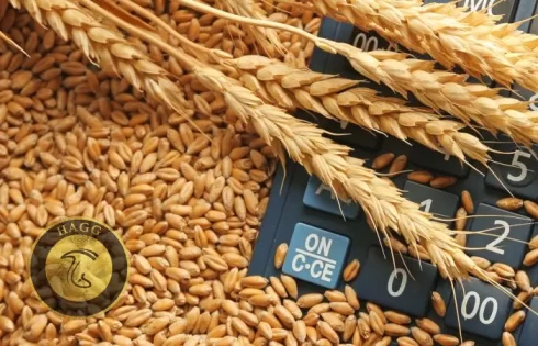 تغییر قیمت خرید تضمینی گندم بازار جهانی گندم
