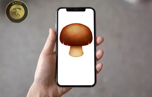 عکسی است از قارچ قهوه‌ای در آیفون