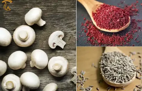عکسی از ماندگاری بیشتر قارچ با کمک گیاهان دارویی