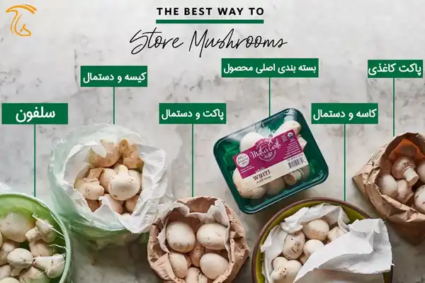 روش های نگهداری و افزایش ماندگاری قارچ