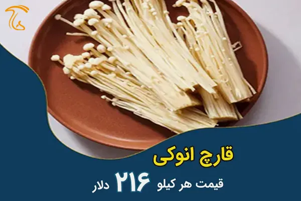 قارچ انوکی