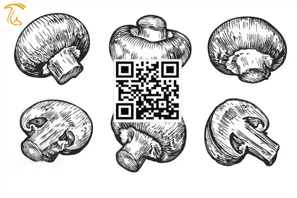 QR Code کد شناسه محصول برای محصولات کشاورزی و قارچ از سامانه سماک