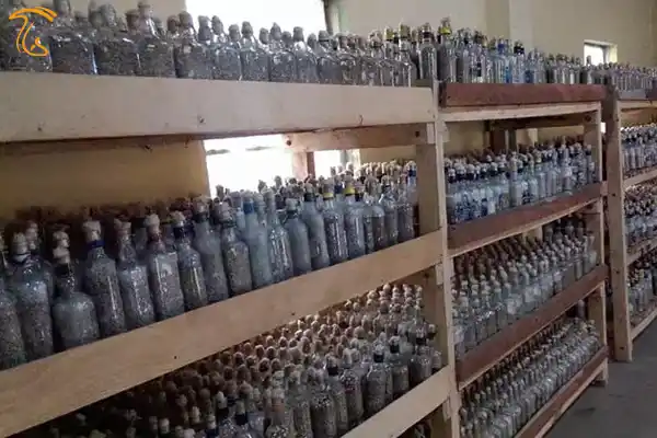 تولید روزانه 2000 بطری بذر قارچ در مرکز کالینگا