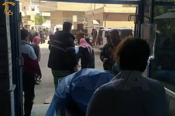 جمعآوری «قارچ دنبلان» در سوریه، 10 کشته و 12 زخمی به جا گذاشت