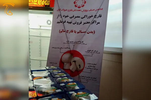 دوره آموزشی مصرف قارچ خوراکی