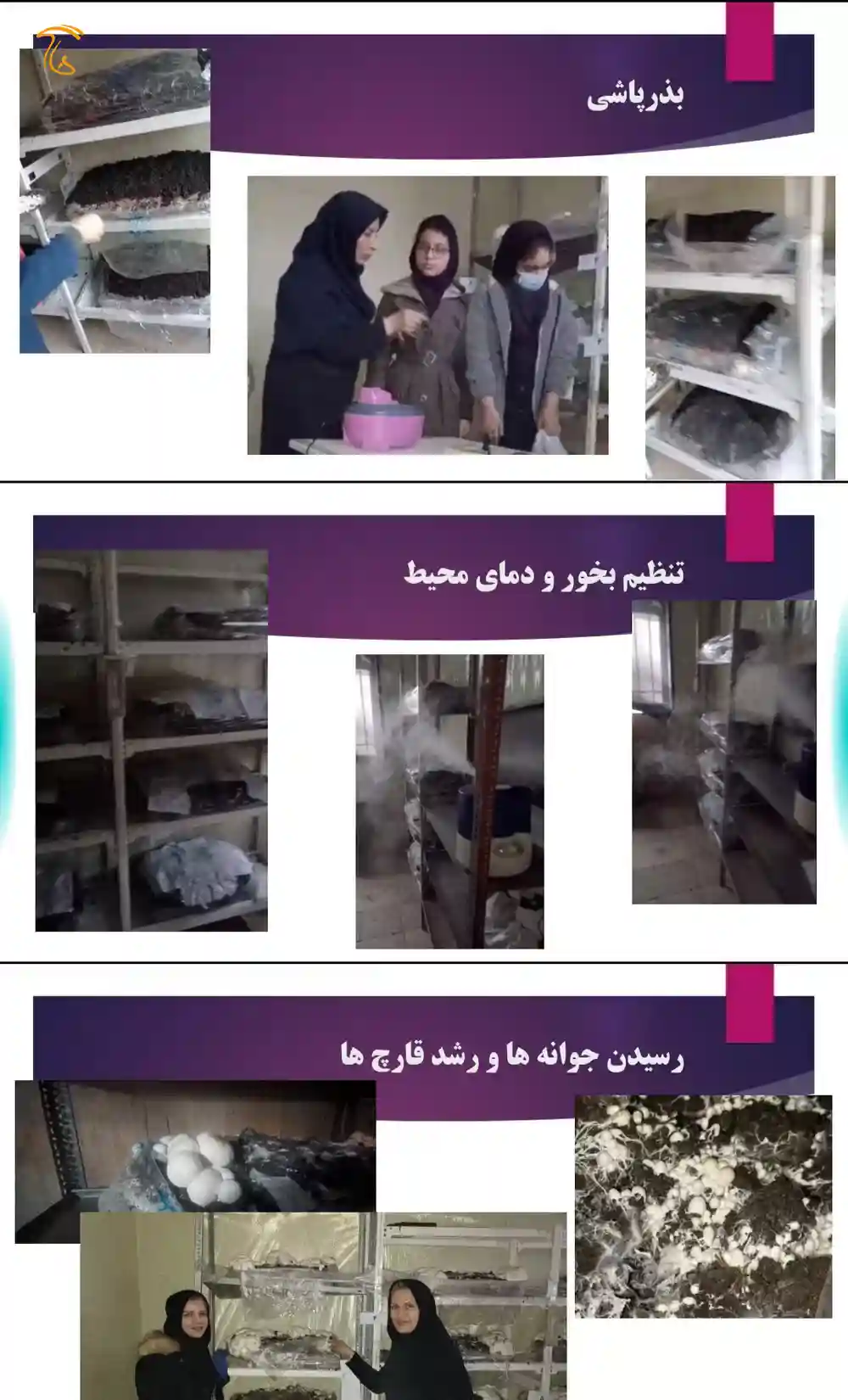 کشت قارچ در مدرسه سمپاد فرزانگان شهرستان قدس
