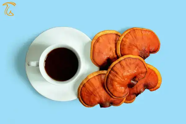 قهوه گانودرما