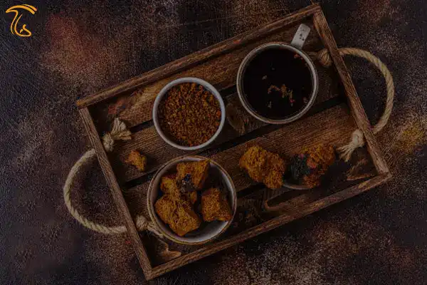 قهوه چاگا